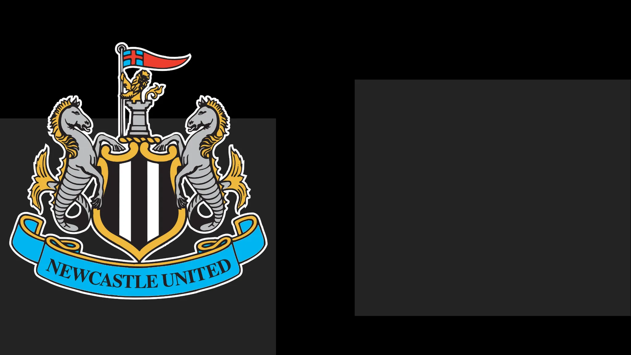 Newcastle's boss Hails Team's Spirit – Yet That Only Carries Them This Far